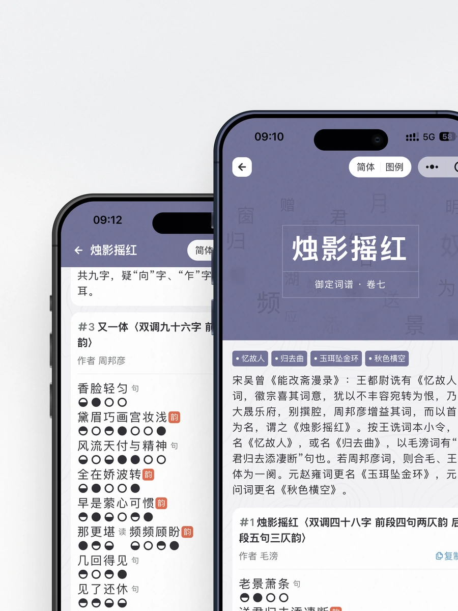 词谱详情,平仄与韵脚标注